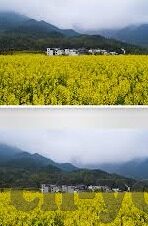 传媒麻豆-解析传媒麻豆现象——草根视界的网络代言人