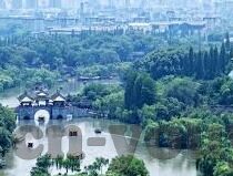 大象传媒2023年人口-大象传媒，2023年的人口视角与未来展望
