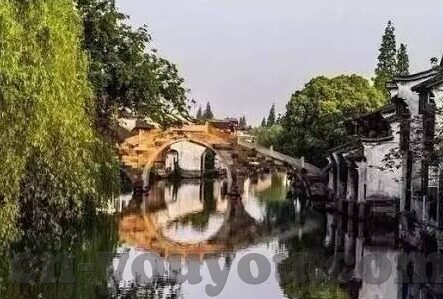 老司机精品视频一区二区-老司机精品视频一区二区，网络世界的双面镜