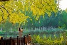 麻豆传媒视频app免费-合法观影与数字时代的界限，理性看待麻豆传媒视频app免费现象