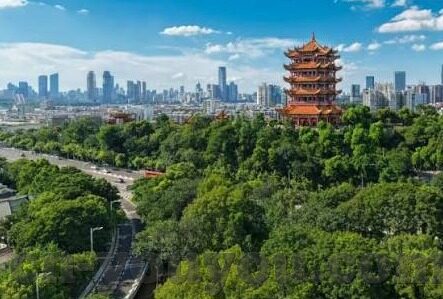 麻豆传煤印画app下载-麻豆传，穿越视觉边界的数位艺术探索