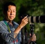 糖心vlog封了吗-糖心VLOG，封与未封的那些事
