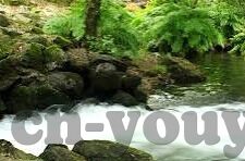 糖心vlog会员兑换码12位-糖心vlog会员畅享之旅，揭秘12位兑换码的魅力与价值