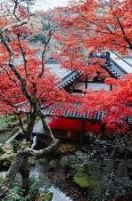 亚洲人妻电影-亚洲人妻电影，文化、社会与性别视角的微妙交织